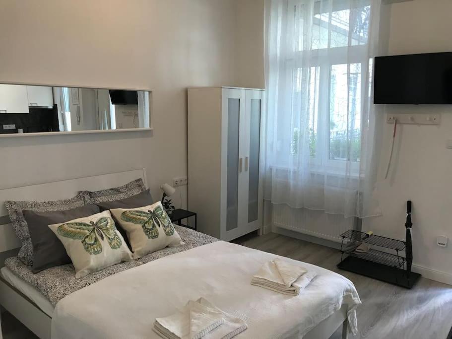Lejlighed Near Park Only 5 Minutes Walk , Where Find The World Famous Szechenyi Thermal Bath Spa, Capital Circus , Museums The Is Modern And Newly Renovated ,in A Quiet And Peaceful Oasis With Ac ,smart Tv, High Speed Internet Budapest