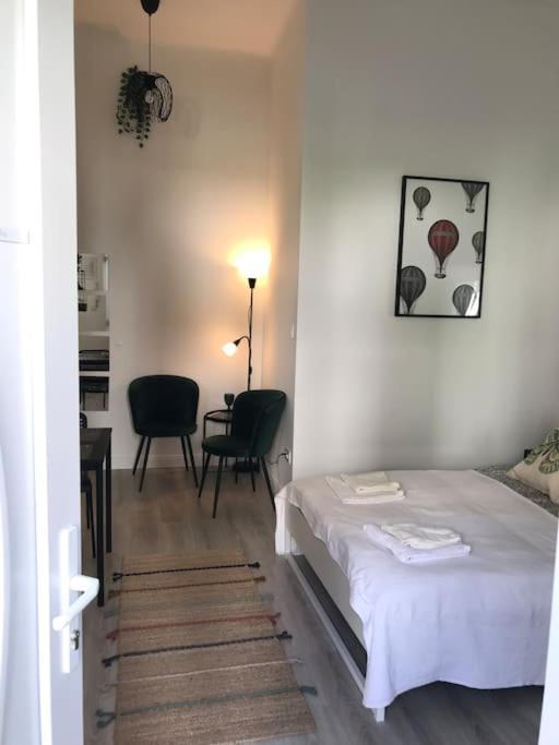 Near Park Only 5 Minutes Walk , Where Find The World Famous Szechenyi Thermal Bath Spa, Capital Circus , Museums The Is Modern And Newly Renovated ,in A Quiet And Peaceful Oasis With Ac ,smart Tv, High Speed Internet Lejlighed Budapest