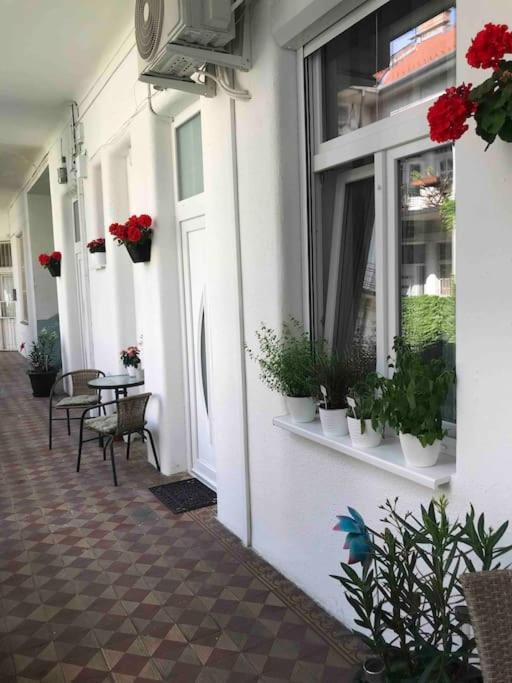 Near Park Only 5 Minutes Walk , Where Find The World Famous Szechenyi Thermal Bath Spa, Capital Circus , Museums The Is Modern And Newly Renovated ,in A Quiet And Peaceful Oasis With Ac ,smart Tv, High Speed Internet Lejlighed
