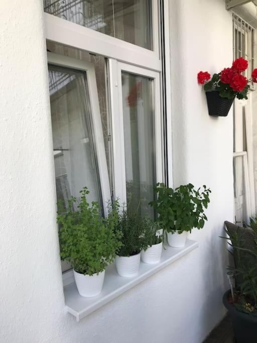 Lejlighed Near Park Only 5 Minutes Walk , Where Find The World Famous Szechenyi Thermal Bath Spa, Capital Circus , Museums The Is Modern And Newly Renovated ,in A Quiet And Peaceful Oasis With Ac ,smart Tv, High Speed Internet