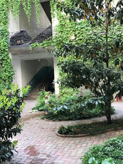 Lejlighed Near Park Only 5 Minutes Walk , Where Find The World Famous Szechenyi Thermal Bath Spa, Capital Circus , Museums The Is Modern And Newly Renovated ,in A Quiet And Peaceful Oasis With Ac ,smart Tv, High Speed Internet Budapest