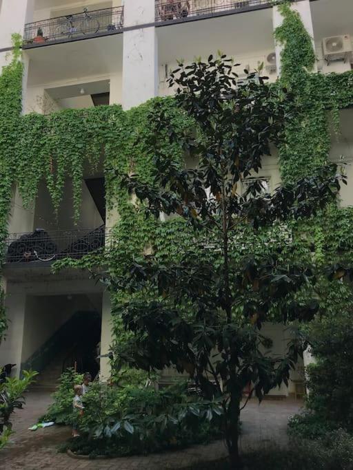 Lejlighed Near Park Only 5 Minutes Walk , Where Find The World Famous Szechenyi Thermal Bath Spa, Capital Circus , Museums The Is Modern And Newly Renovated ,in A Quiet And Peaceful Oasis With Ac ,smart Tv, High Speed Internet Budapest