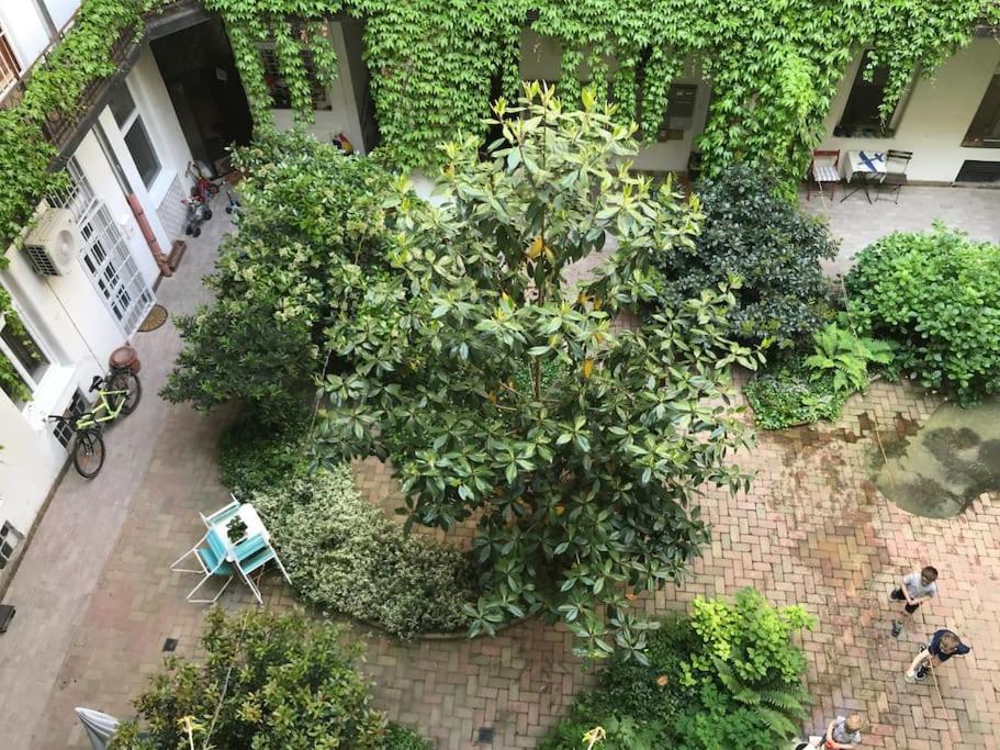 Near Park Only 5 Minutes Walk , Where Find The World Famous Szechenyi Thermal Bath Spa, Capital Circus , Museums The Is Modern And Newly Renovated ,in A Quiet And Peaceful Oasis With Ac ,smart Tv, High Speed Internet Lejlighed Budapest