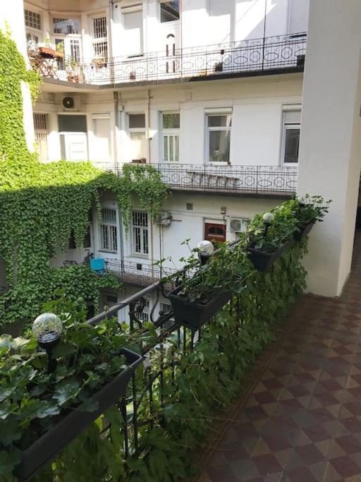 Apartamento Near Park Only 5 Minutes Walk , Where Find The World Famous Szechenyi Thermal Bath Spa, Capital Circus , Museums The Is Modern And Newly Renovated ,in A Quiet And Peaceful Oasis With Ac ,smart Tv, High Speed Internet