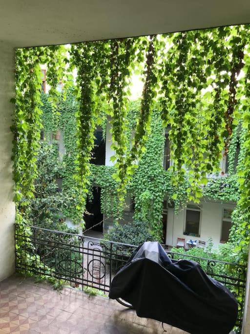 Apartamento Near Park Only 5 Minutes Walk , Where Find The World Famous Szechenyi Thermal Bath Spa, Capital Circus , Museums The Is Modern And Newly Renovated ,in A Quiet And Peaceful Oasis With Ac ,smart Tv, High Speed Internet *