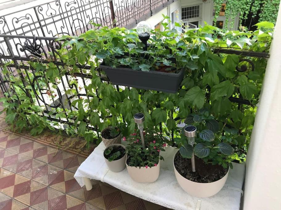 Near Park Only 5 Minutes Walk , Where Find The World Famous Szechenyi Thermal Bath Spa, Capital Circus , Museums The Is Modern And Newly Renovated ,in A Quiet And Peaceful Oasis With Ac ,smart Tv, High Speed Internet * Budapest