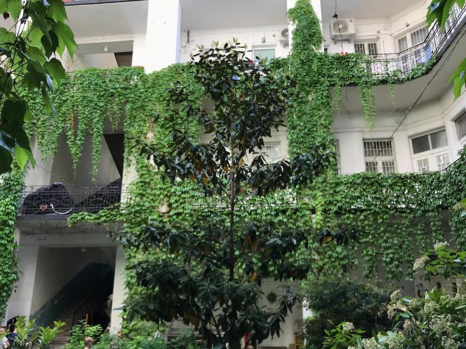 Near Park Only 5 Minutes Walk , Where Find The World Famous Szechenyi Thermal Bath Spa, Capital Circus , Museums The Is Modern And Newly Renovated ,in A Quiet And Peaceful Oasis With Ac ,smart Tv, High Speed Internet Budapest