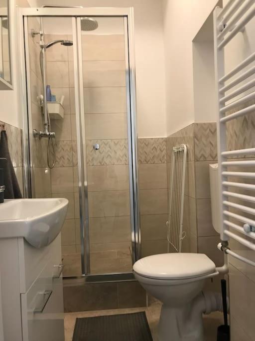 Near Park Only 5 Minutes Walk , Where Find The World Famous Szechenyi Thermal Bath Spa, Capital Circus , Museums The Is Modern And Newly Renovated ,in A Quiet And Peaceful Oasis With Ac ,smart Tv, High Speed Internet