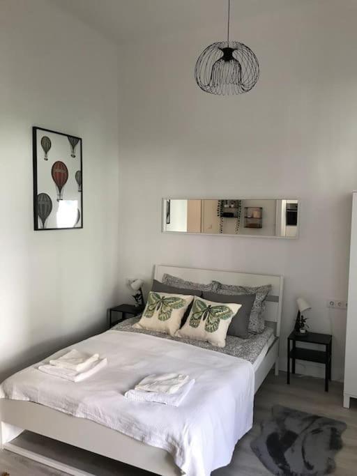 Near Park Only 5 Minutes Walk , Where Find The World Famous Szechenyi Thermal Bath Spa, Capital Circus , Museums The Is Modern And Newly Renovated ,in A Quiet And Peaceful Oasis With Ac ,smart Tv, High Speed Internet *