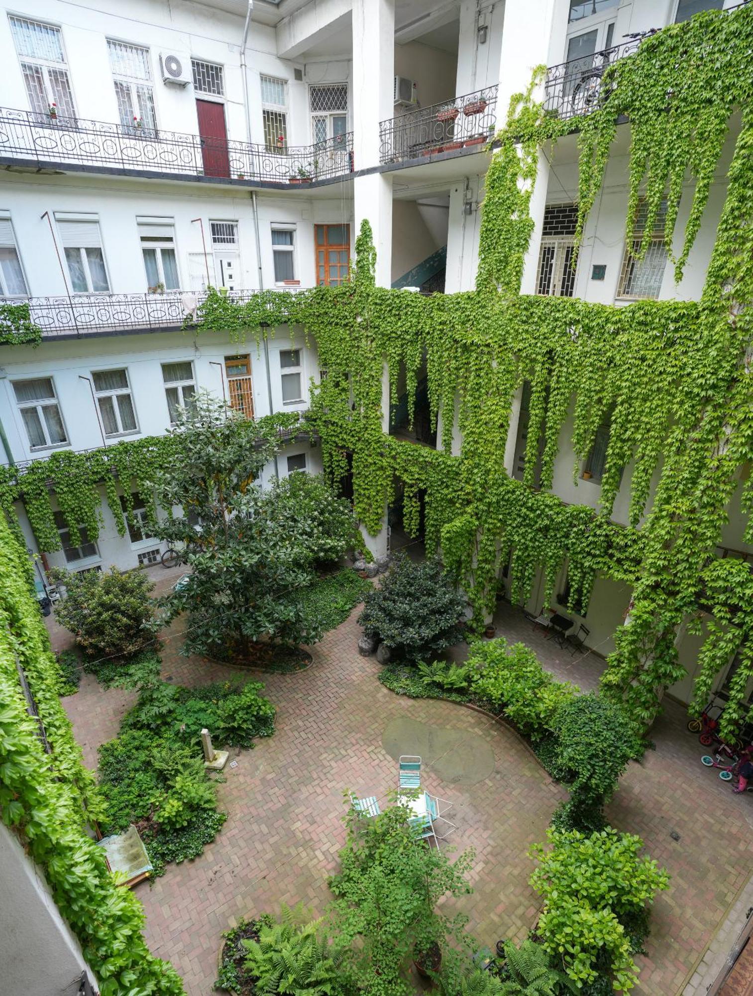 Apartamento Near Park Only 5 Minutes Walk , Where Find The World Famous Szechenyi Thermal Bath Spa, Capital Circus , Museums The Is Modern And Newly Renovated ,in A Quiet And Peaceful Oasis With Ac ,smart Tv, High Speed Internet Budapest