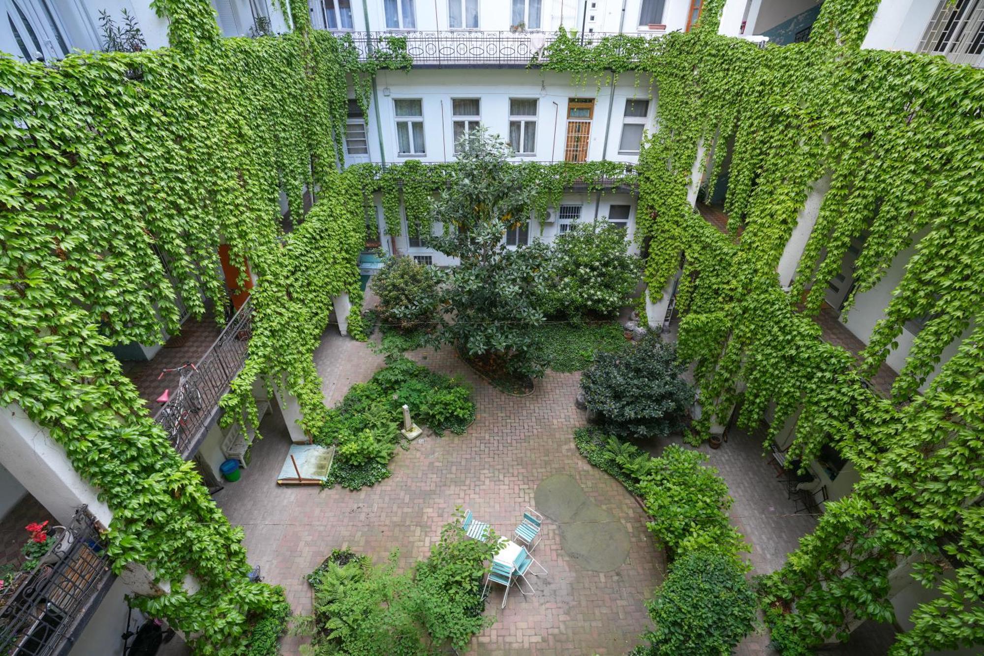 Near Park Only 5 Minutes Walk , Where Find The World Famous Szechenyi Thermal Bath Spa, Capital Circus , Museums The Is Modern And Newly Renovated ,in A Quiet And Peaceful Oasis With Ac ,smart Tv, High Speed Internet Apartamento *