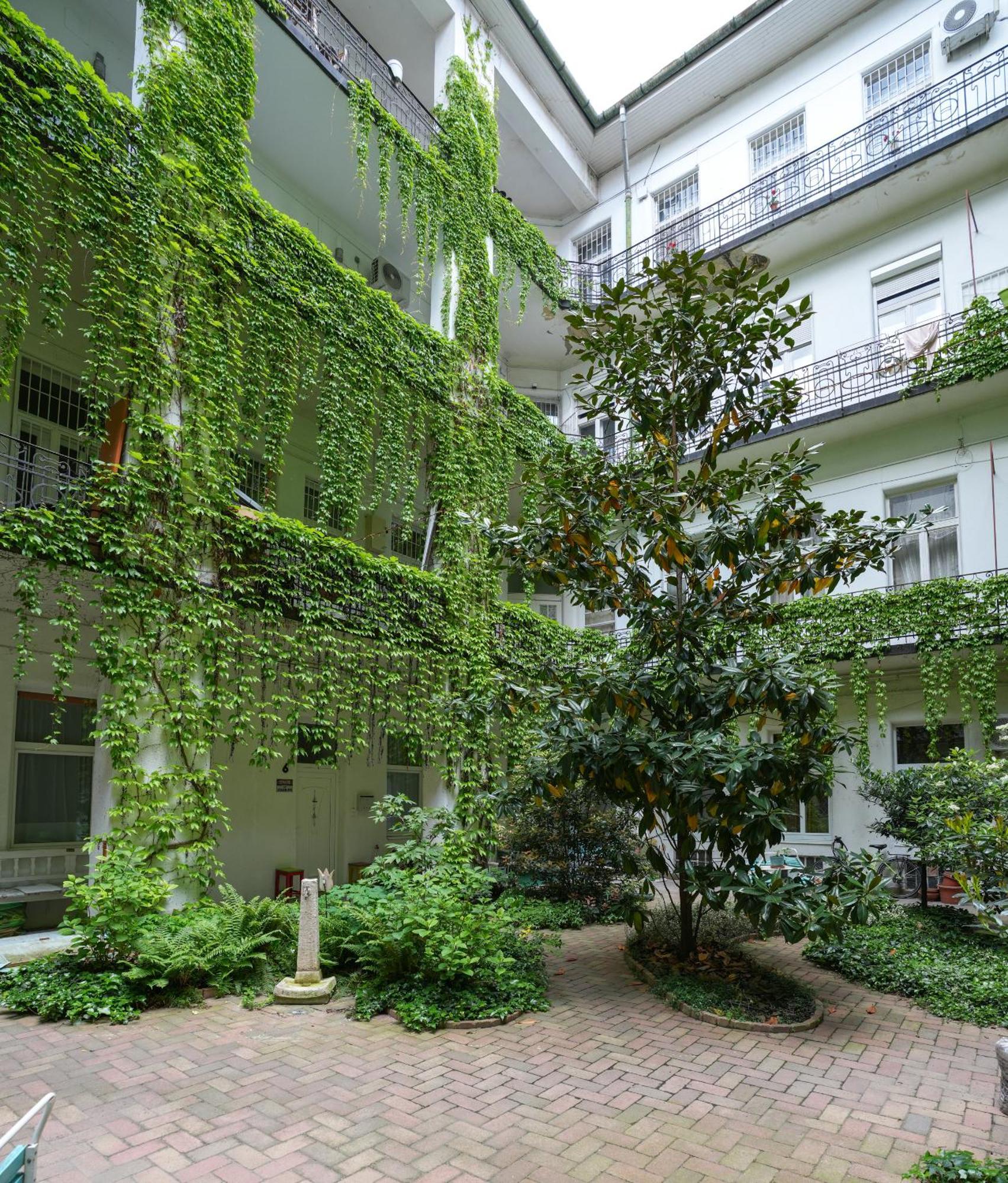 Apartamento Near Park Only 5 Minutes Walk , Where Find The World Famous Szechenyi Thermal Bath Spa, Capital Circus , Museums The Is Modern And Newly Renovated ,in A Quiet And Peaceful Oasis With Ac ,smart Tv, High Speed Internet *