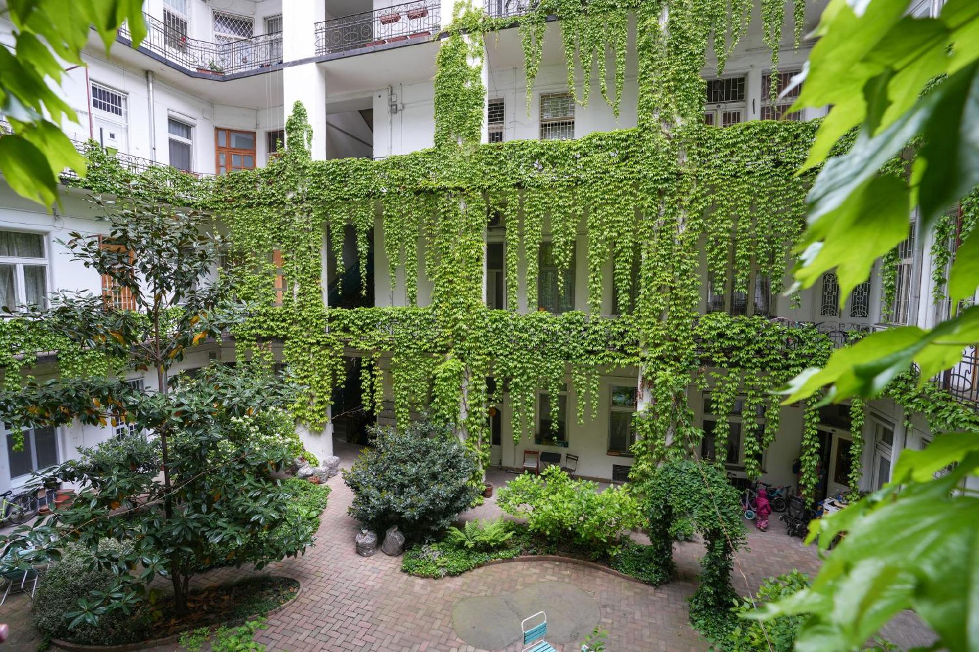 Near Park Only 5 Minutes Walk , Where Find The World Famous Szechenyi Thermal Bath Spa, Capital Circus , Museums The Is Modern And Newly Renovated ,in A Quiet And Peaceful Oasis With Ac ,smart Tv, High Speed Internet Apartamento Budapest