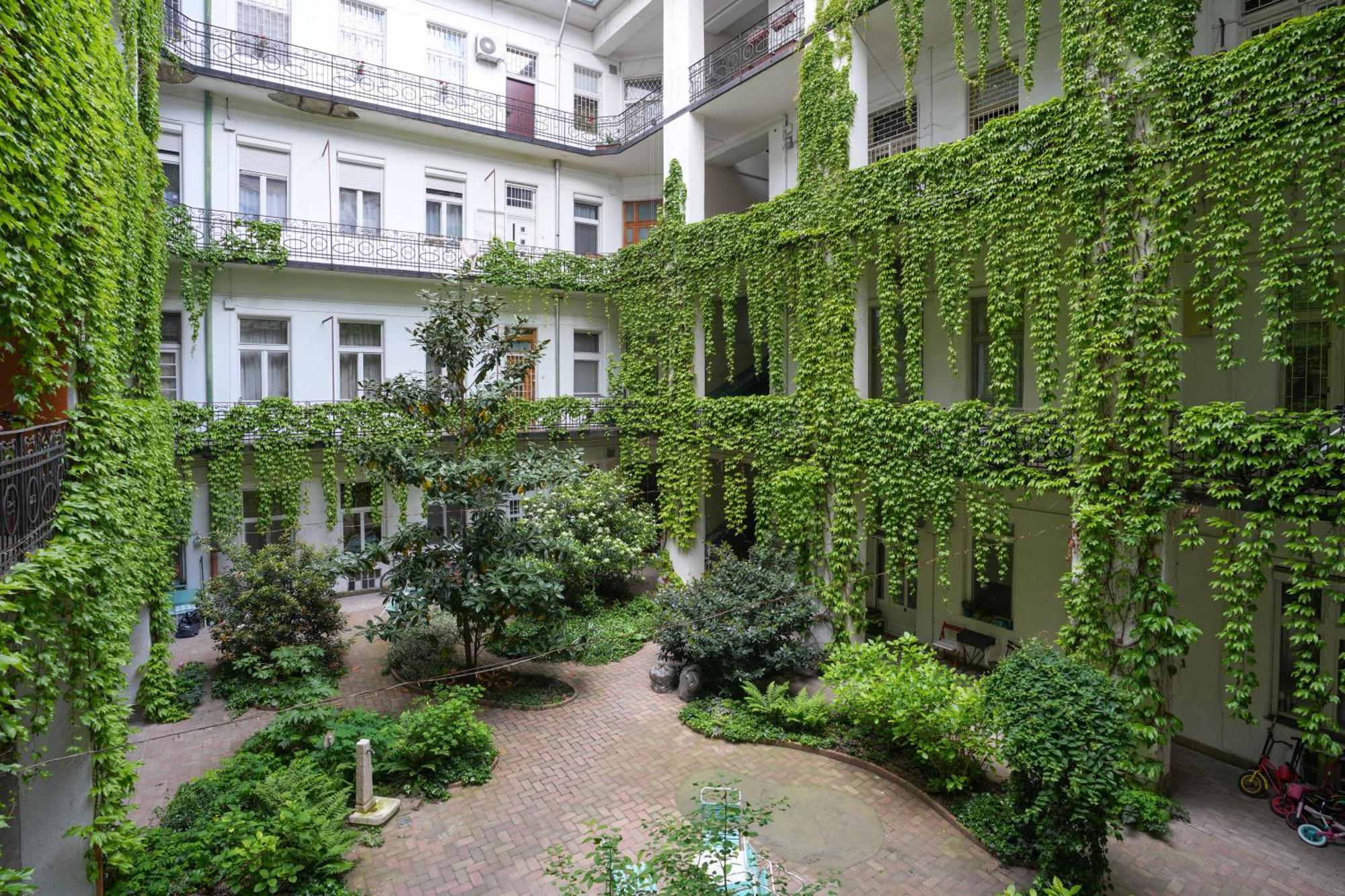 Near Park Only 5 Minutes Walk , Where Find The World Famous Szechenyi Thermal Bath Spa, Capital Circus , Museums The Is Modern And Newly Renovated ,in A Quiet And Peaceful Oasis With Ac ,smart Tv, High Speed Internet * Budapest