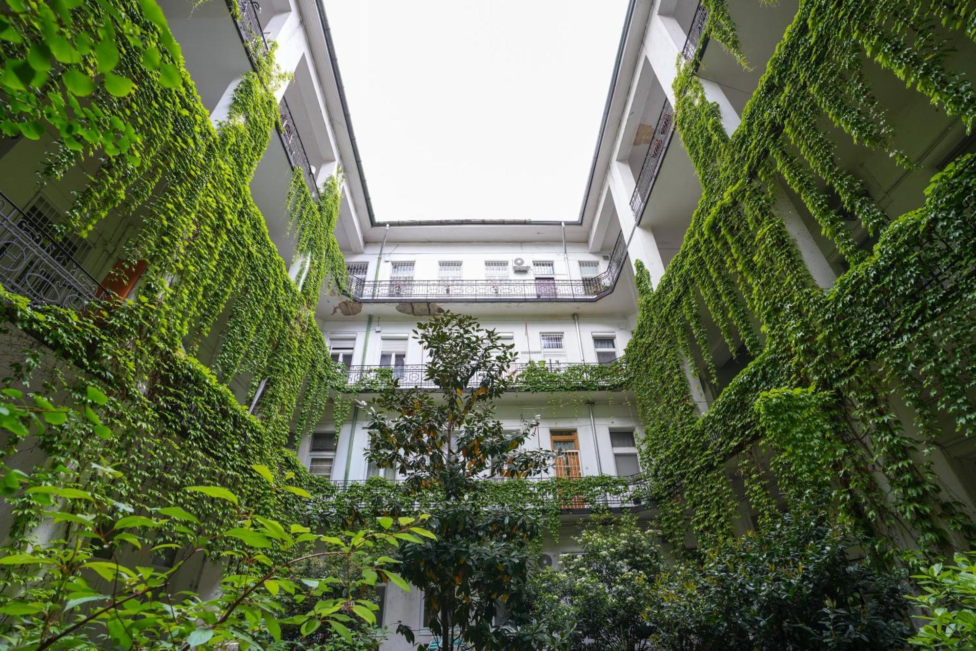 Near Park Only 5 Minutes Walk , Where Find The World Famous Szechenyi Thermal Bath Spa, Capital Circus , Museums The Is Modern And Newly Renovated ,in A Quiet And Peaceful Oasis With Ac ,smart Tv, High Speed Internet Apartamento *