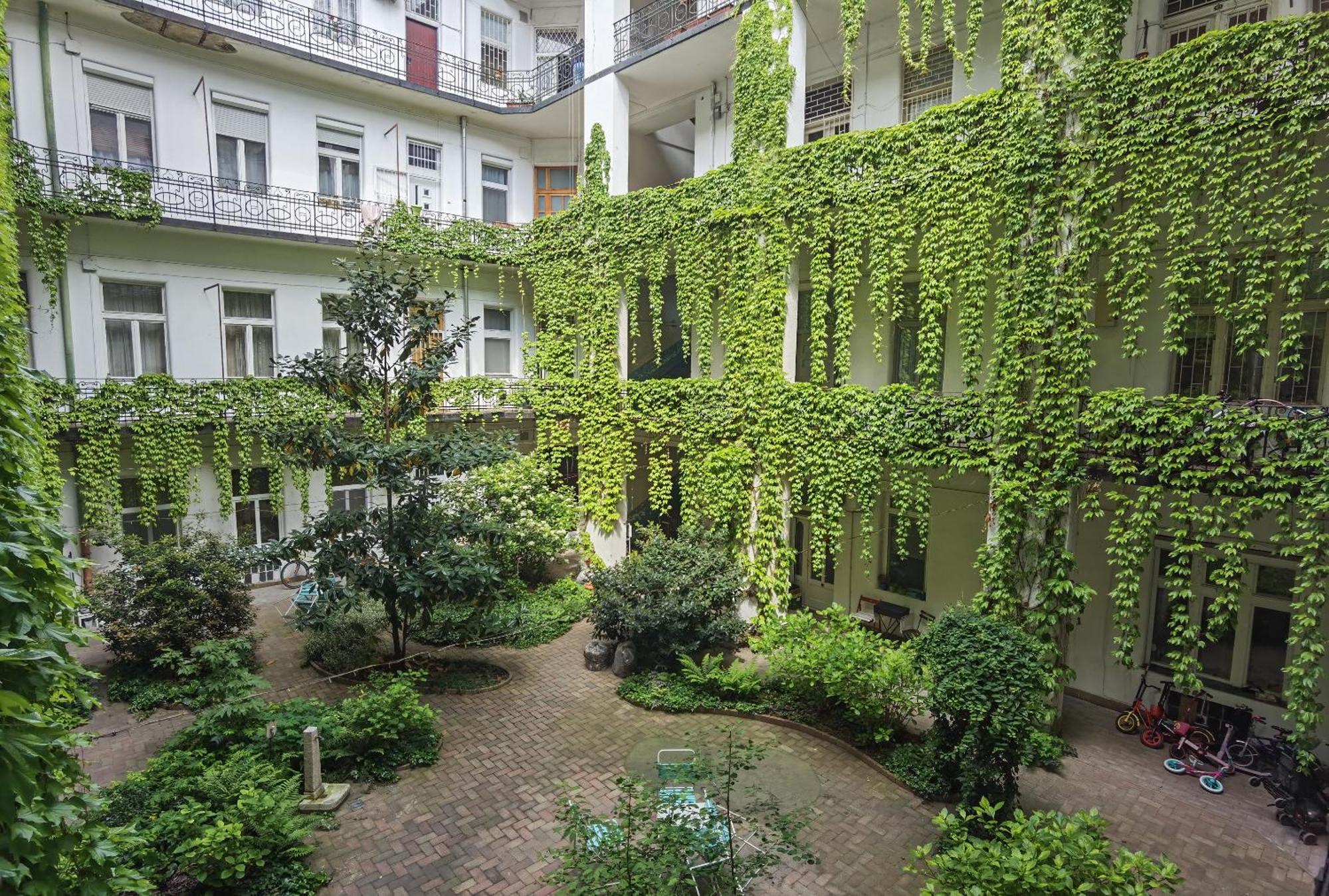 Near Park Only 5 Minutes Walk , Where Find The World Famous Szechenyi Thermal Bath Spa, Capital Circus , Museums The Is Modern And Newly Renovated ,in A Quiet And Peaceful Oasis With Ac ,smart Tv, High Speed Internet Apartamento *